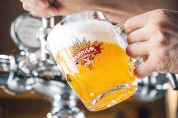 Названы лучшие чешские пивоварни и марки пива в 2024 году