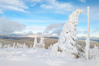 Чешские горы засыпало снегом. Суббота будет идеальным днем для лыж и прогулок