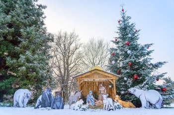 Вход за 50 крон: зоопарк Праги торжественно отметит начало Адвента