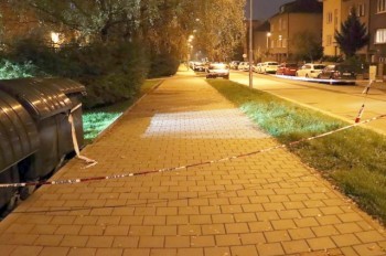 Полиция Чехии сообщила подробности дела о брошенном на улице младенце