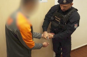 В Праге соседи спасли от изнасилования 10-летнюю девочку