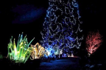 Магия стекла, света и музыки: в Праге впервые открылась выставка «Хрустальный сад»