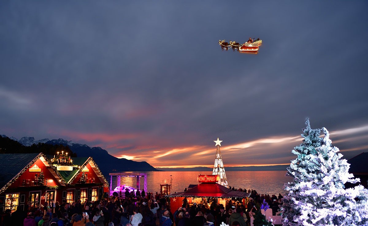 Полиция Чехии разгадала загадку оставленного в лесу велосипеда