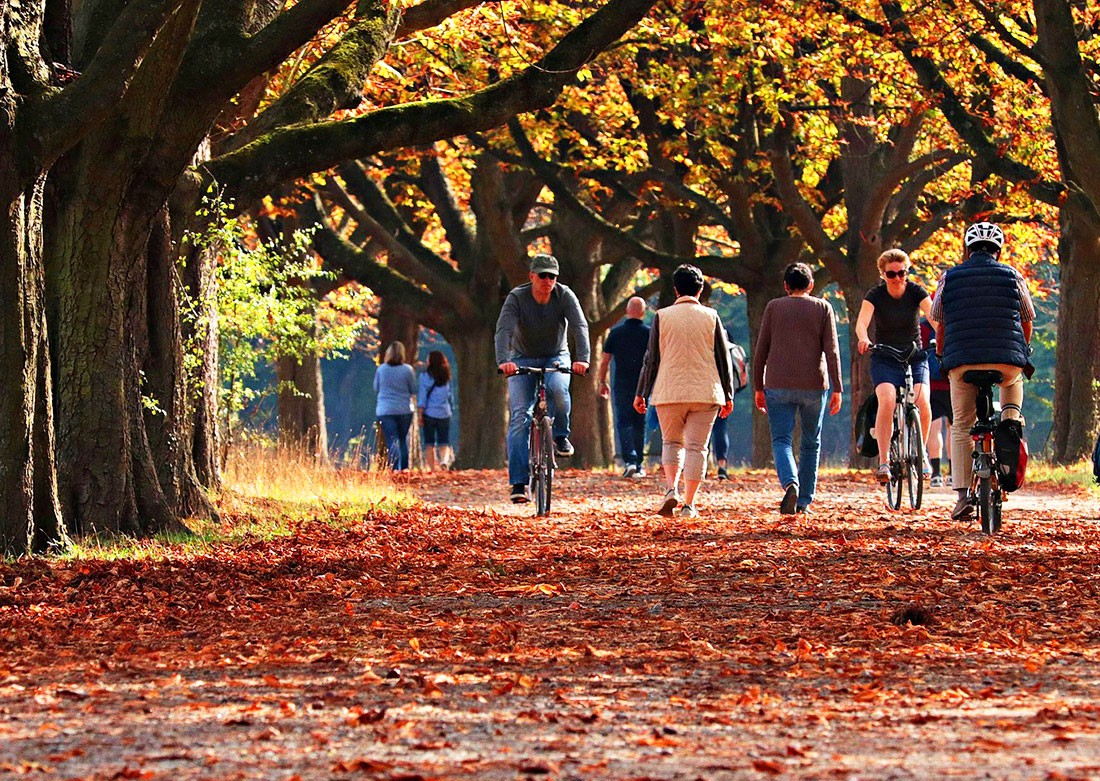 Солнечная осень: чешские синоптики опубликовали прогноз погоды на неделю