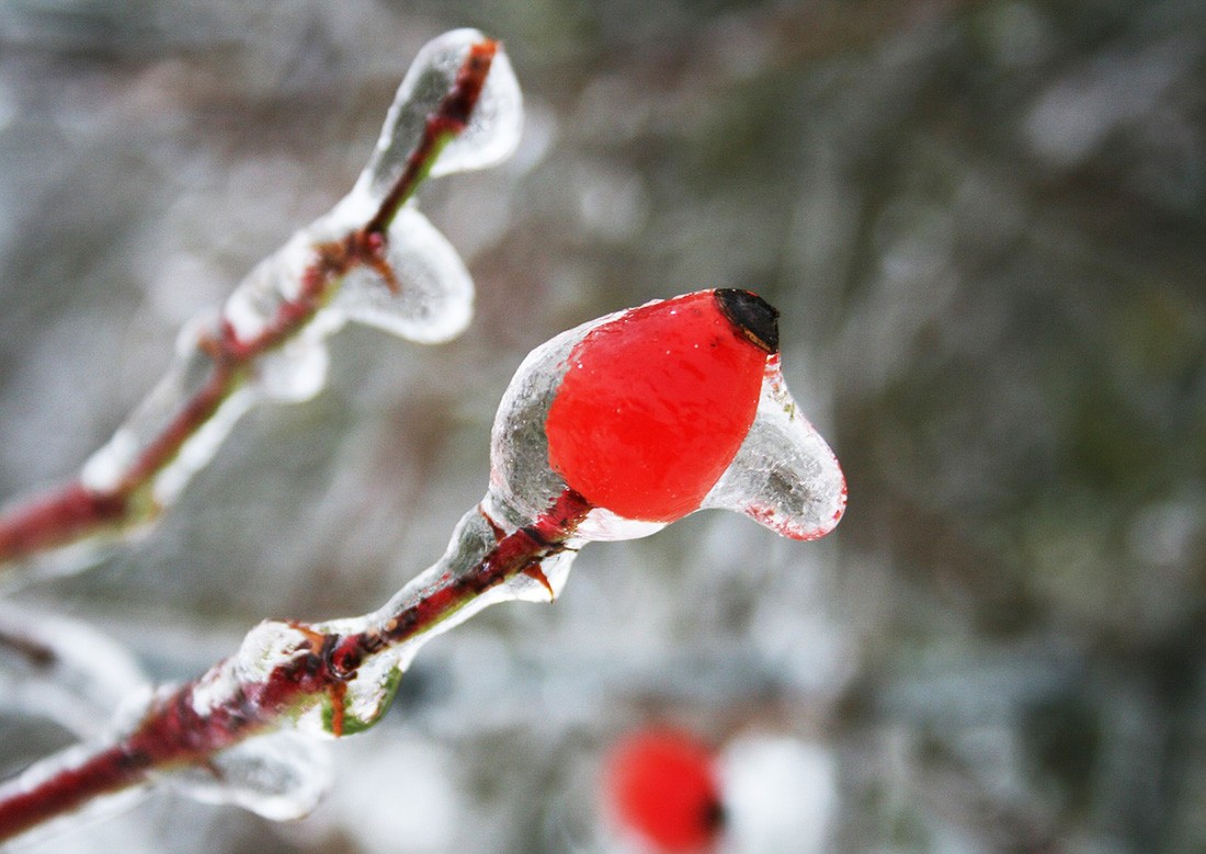 Предупреждение о гололеде объявлено в нескольких регионах Чехии