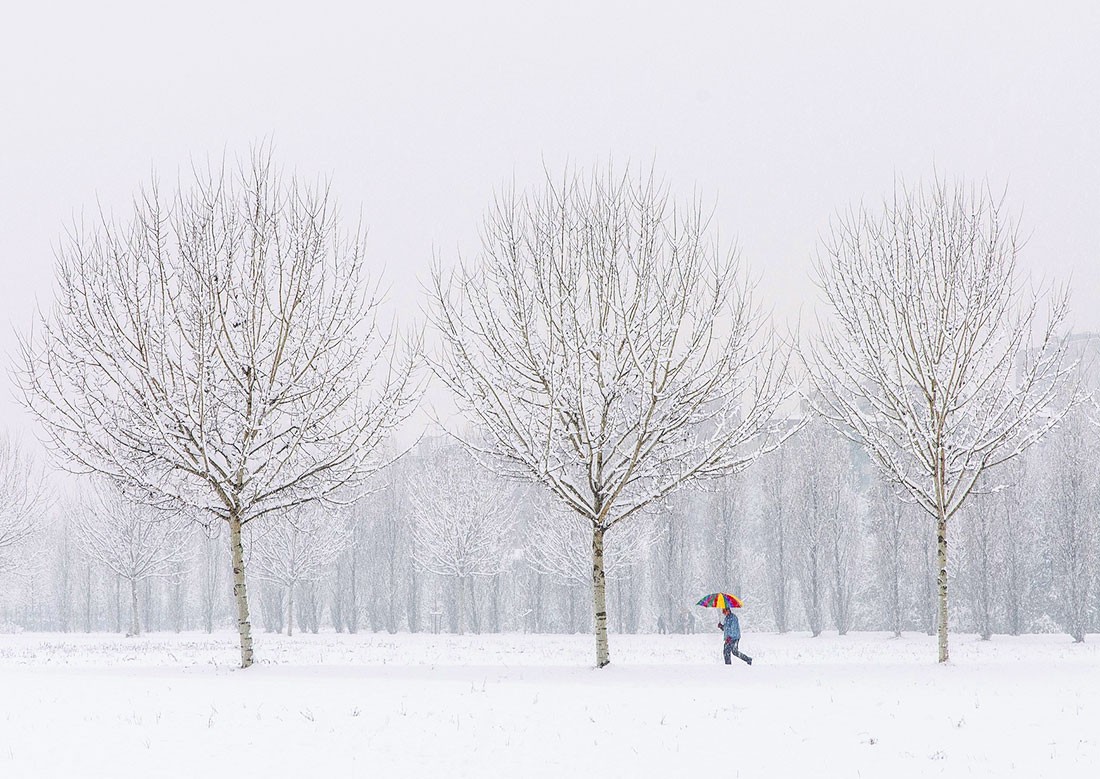 Зима уже здесь: чешские синоптики опубликовали прогноз погоды на неделю