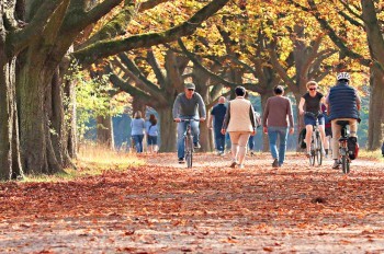 Солнечная осень: чешские синоптики опубликовали прогноз погоды на неделю
