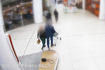 В Праге неизвестная присвоила забытую сумочку: видео