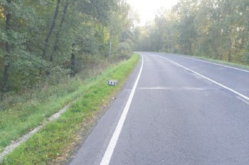 В Чехии неизвестные украли 17 дорожных знаков