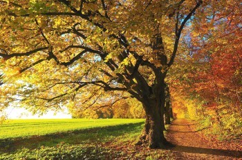 Чешские синоптики опубликовали прогноз погоды на выходные