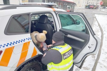 В Чехии полицейские помогли девочке-иностранке добраться домой