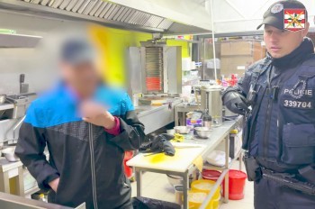 Полиция в Чехии провела масштабную проверку иностранцев: видео