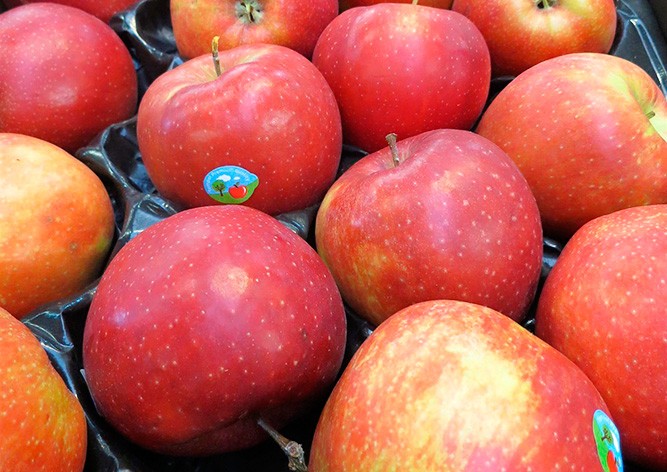 В чешские магазины попали опасные для здоровья яблоки