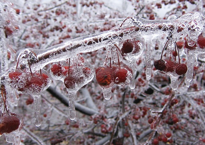 Жителей Чехии предупредили о ледяном дожде и гололедице