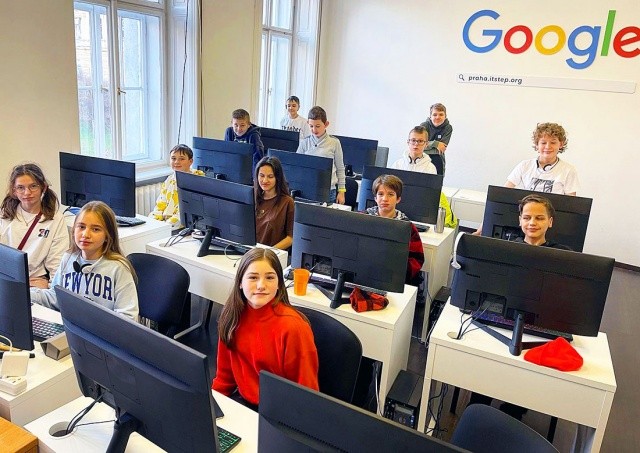 В воскресенье в Праге пройдет рождественская выставка бездомных кошек