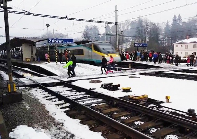 Дети смогут бесплатно посетить Пражский зоопарк в канун Рождества