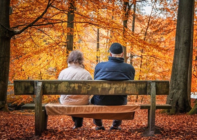 Названы регионы Чехии с наибольшим числом долгожителей в 2024 году