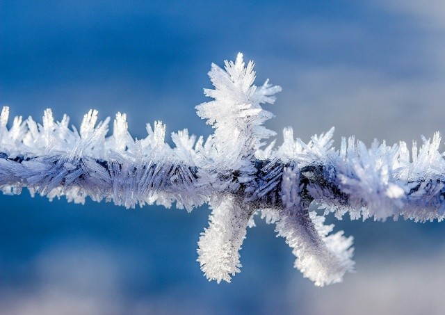 В Чехии зарегистрировали мороз в -16°C