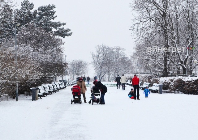 В Чехию идут снегопады: синоптики опубликовали прогноз погоды на неделю