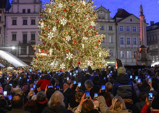 Главная ёлка Праги послужит добру и после праздников