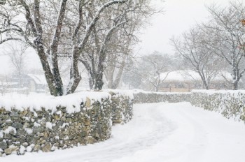Чешские синоптики опубликовали прогноз погоды на неделю