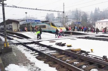 Дети смогут бесплатно посетить Пражский зоопарк в канун Рождества