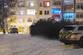 Житель Чехии выпал из окна квартиры в ходе празднования Нового года