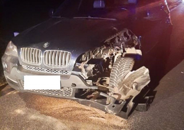 В Чехии из-за новогодних фейерверков погиб страус