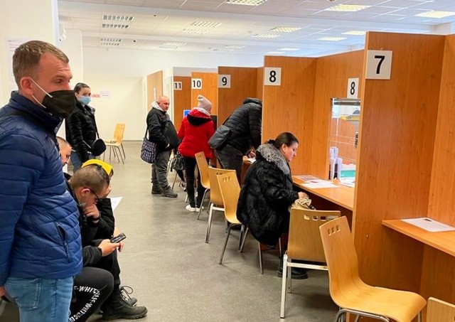 Продление виз временной защиты украинцев в Чехии в 2024 году: какой будет процедура