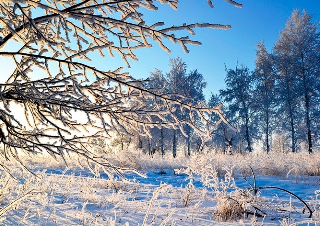 В Чехии зарегистрировали мороз в -30,6°C