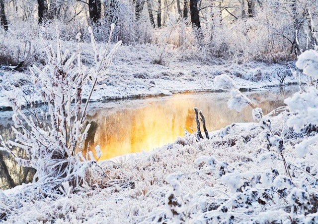 Зима вернулась: в горах Чехии зарегистрировали мороз в -20°C