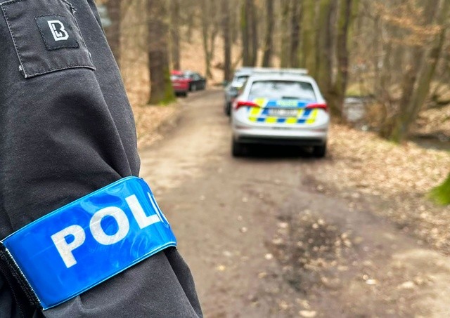 В Праге неизвестный изнасиловал женщину в парке