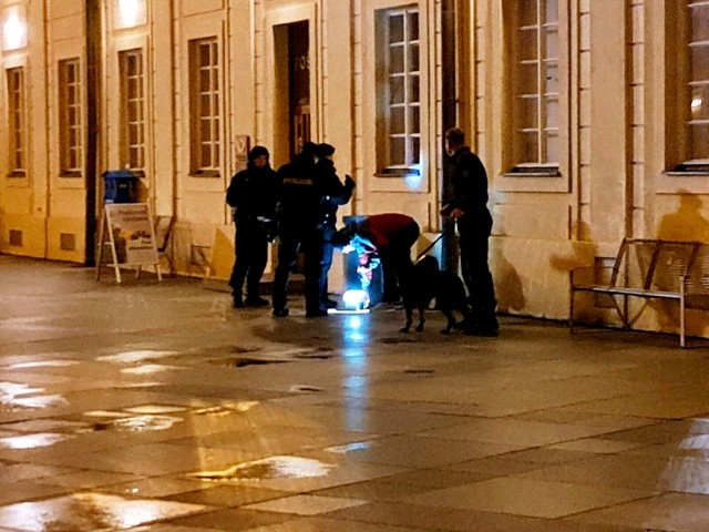 В Чехии вынесли приговор Королю света, угрожавшему взорвать Пражский Град
