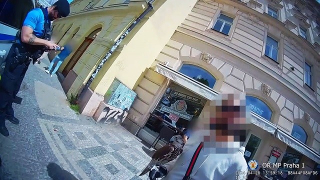 У Чехії запускають онлайн-курс підготовки для українських медсестер