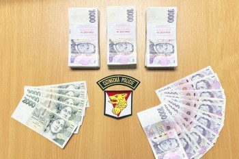 Украинская псевдобеженка обманула Чехию на крупную сумму