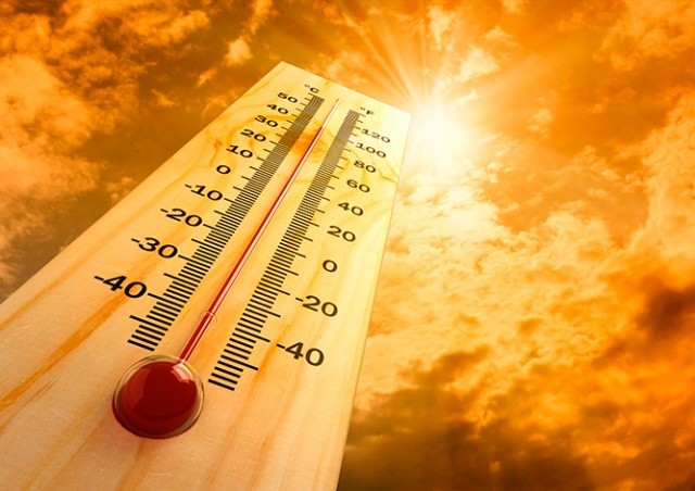 В выходные в Чехии потеплеет до 35°C