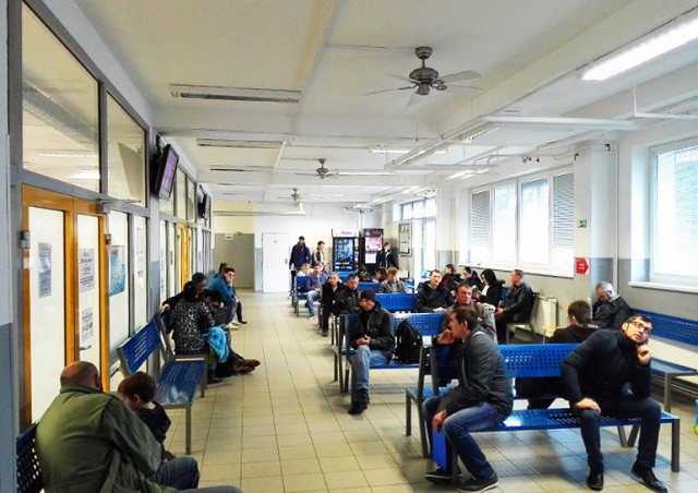 Большинство участников опроса назвали иностранцев угрозой для Чехии
