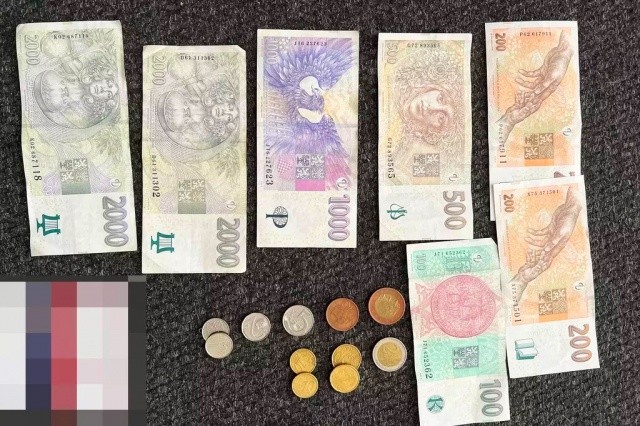 В Чехии воровка забыла в магазине кошелек и пришла за ним в полицию 