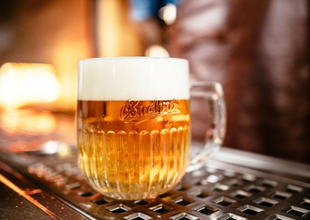 Budějovický Budvar сварил рекордный объем пива в своей истории