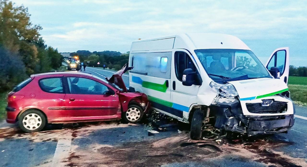 Специально выехала на встречку: в Чехии вынесли приговор матери, убившей 8-летнюю дочь 