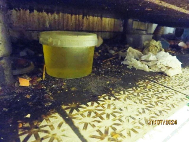 Ужас: инспекторы закрыли кухню популярного кафе в центре Праги