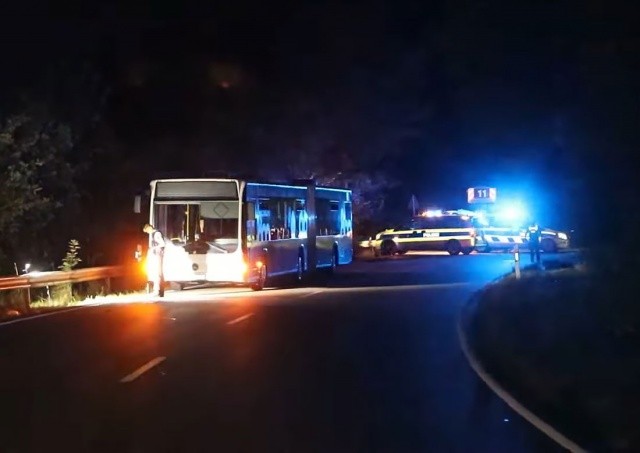 В Германии женщина ранила ножом шесть человек в автобусе
