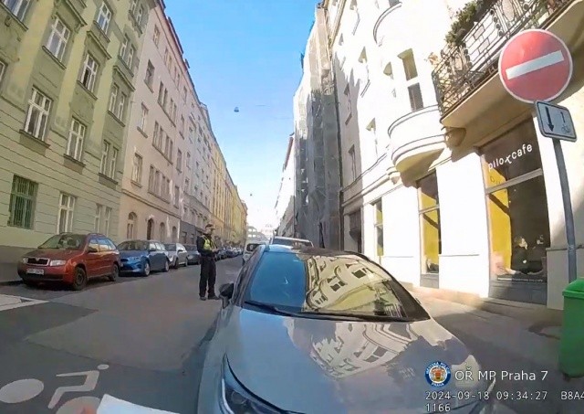 В Праге полицейские оштрафовали «народную мстительницу»: видео