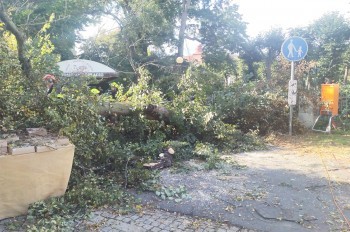 В центре Карловых Вар дерево упало на торговые палатки