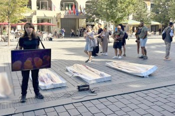 В центре Праги протестовали против эксплуатации животных