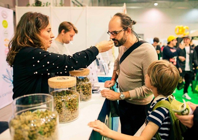 В Праге пройдет фестиваль конопли