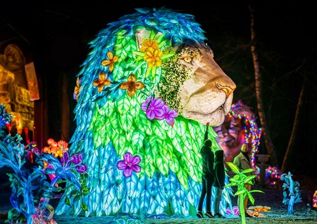 В субботу в Праге откроется третий парк световых инсталляций – Winter Wonderland