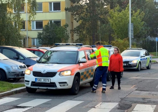 В Праге два ротвейлера покусали прохожую и загрызли собаку