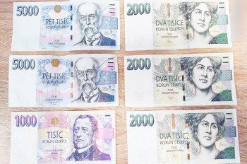 Жительница Чехии нашла на улице крупную сумму и поступила правильно