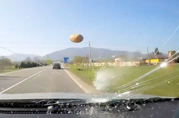 В Чехии птицы сбросили картошку на проезжавшее авто: видео